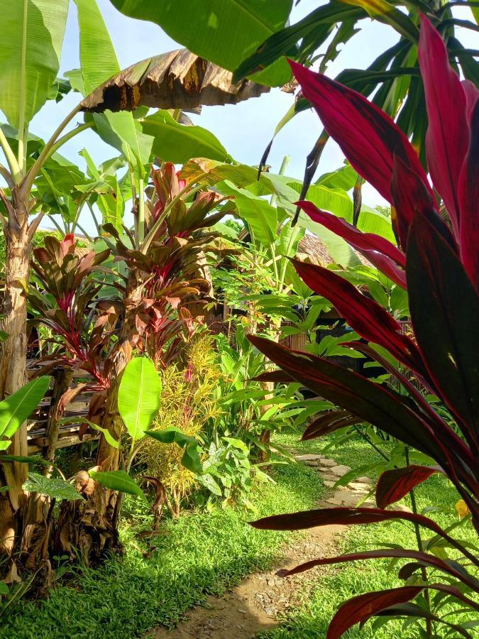 Banana Grove El Nido Hotel Eksteriør billede