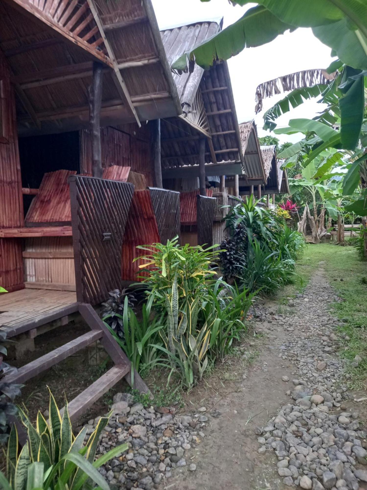 Banana Grove El Nido Hotel Værelse billede